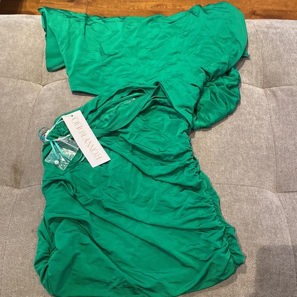 Ronny Kobo Kyle Dress - Picture 4 of 6